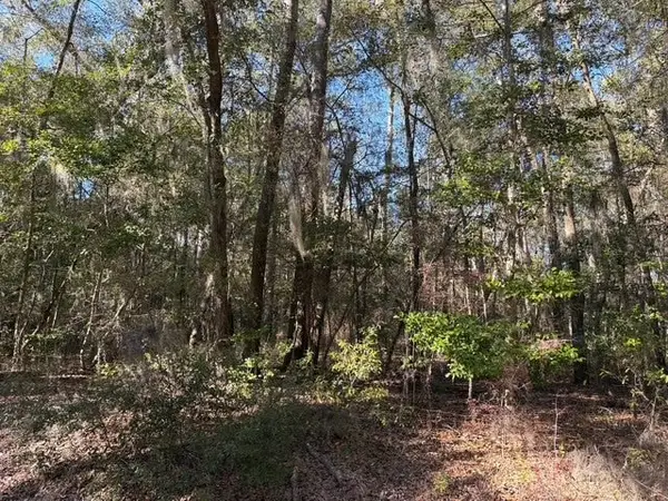 0 Trade Hill Road, Midway, GA 31320