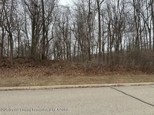 6285 Heathfield Drive, East Lansing, MI 48823 - #2