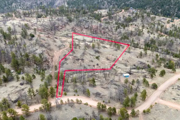 144 Chapparal Trail, Florissant, CO 80816
