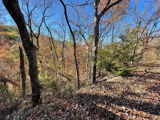 S 4507 Road, Vian, OK 74962 - Image #3