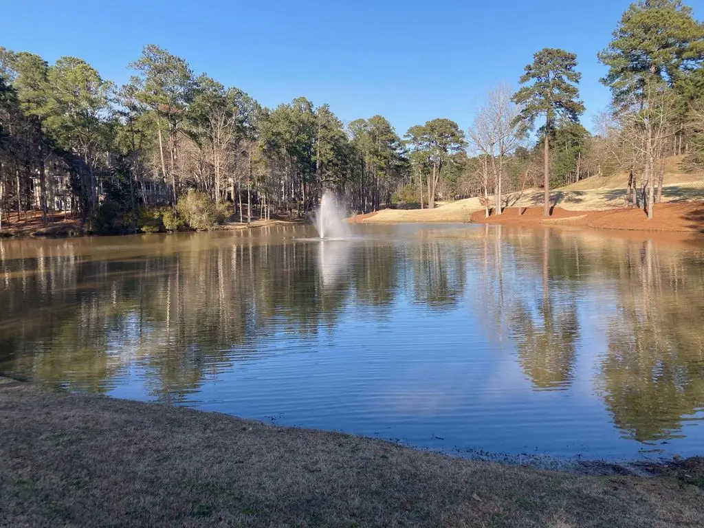 1060 Dejarnet Place, Greensboro, GA 30642 - Image #1