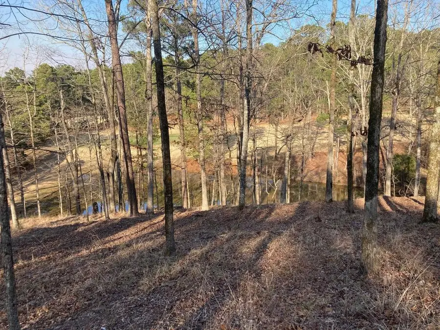 1060 Dejarnet Place, Greensboro, GA 30642 - Image #2