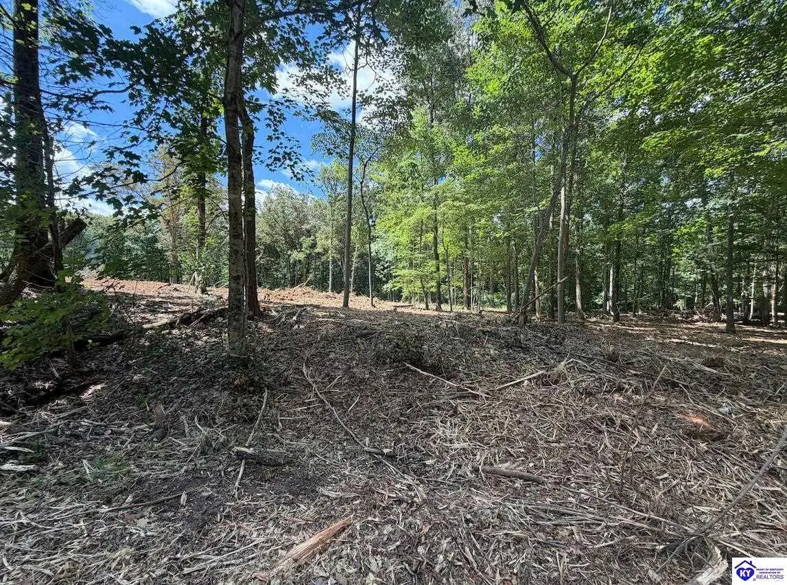 Lot 15 Redhawk, Rineyville, KY 40162 - #1