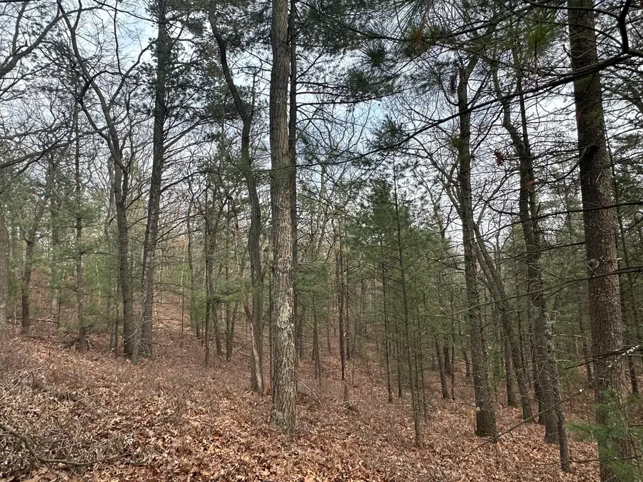 4.39 Acres Br Us 31, Pentwater, MI 49449 - Image #3