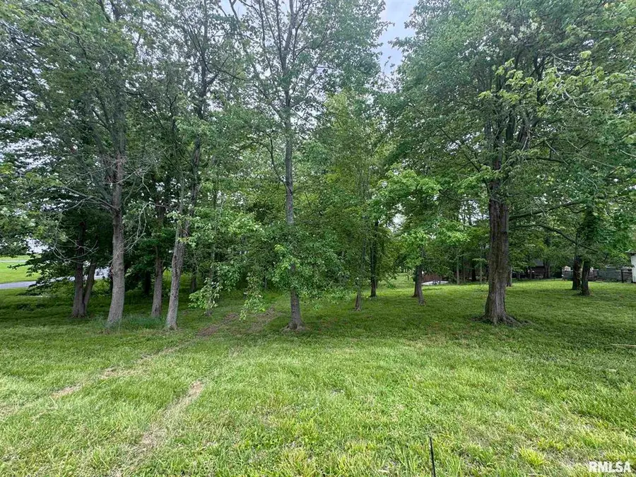 000 W Douglas Street, Marion, IL 62959 - Image #2