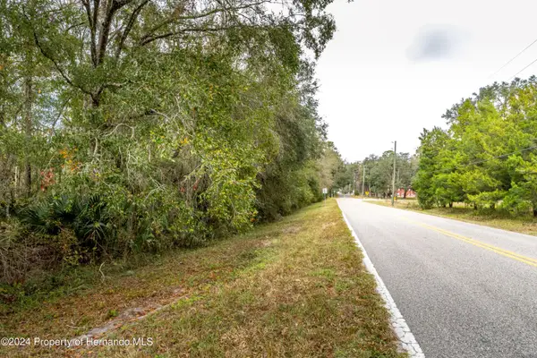 Lake Lindsey Tract 2 Road, BROOKSVILLE, FL 34601