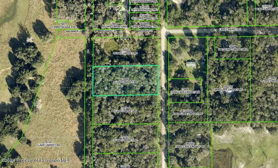 Lake Lindsey Tract 2 Road, Brooksville, FL 34601 - #2
