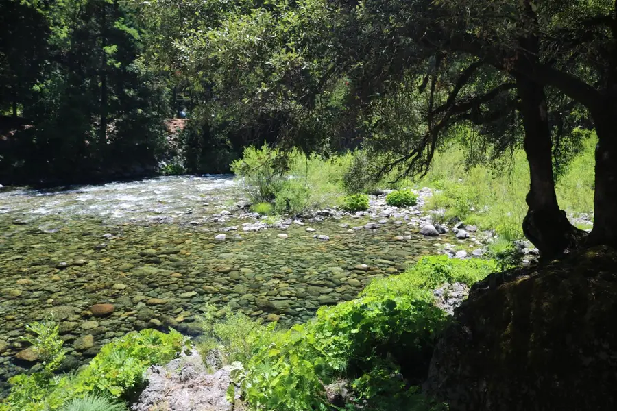 104 Main Street, Downieville, CA 95936 - #3