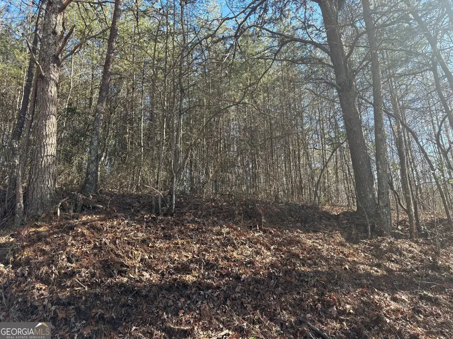 0 Kimsey Mountain Hwy, Turtletown, TN 37391 - Image #3