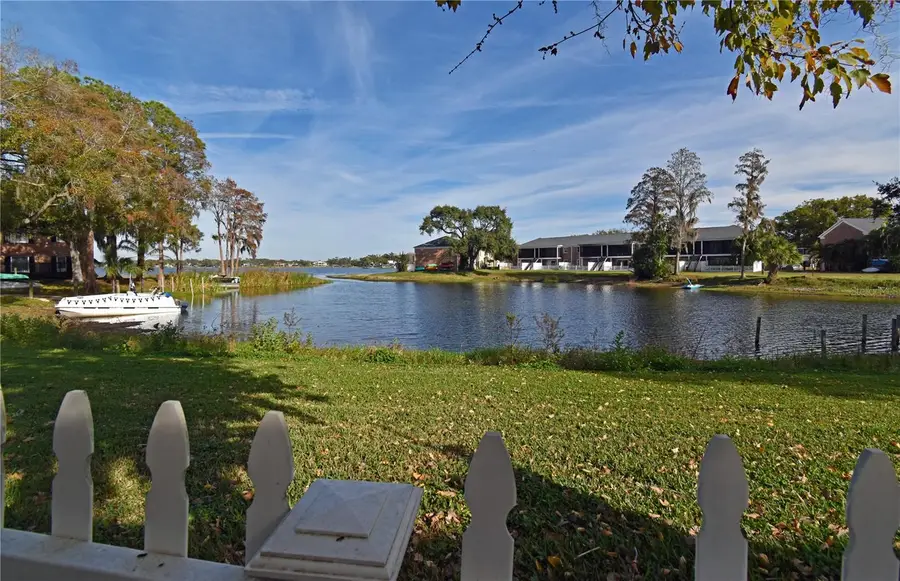 13741 Juniper Blossom Drive, Tampa, FL 33618 - Image #3