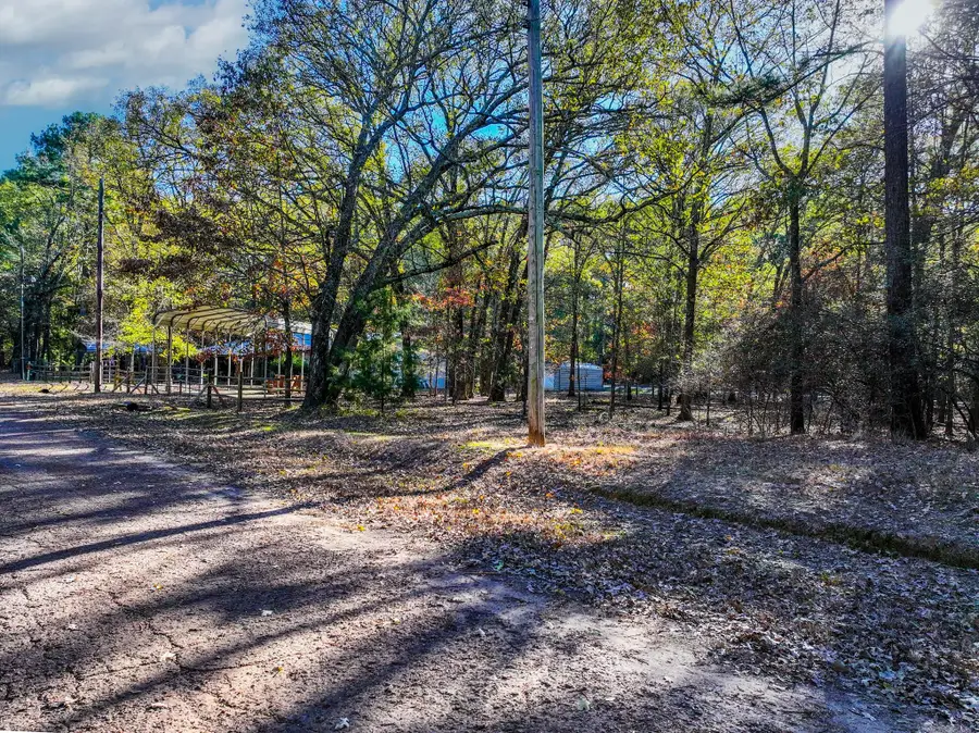 Lot 17 Sweet Gum Lane, Mount Vernon, TX 75457 - #2