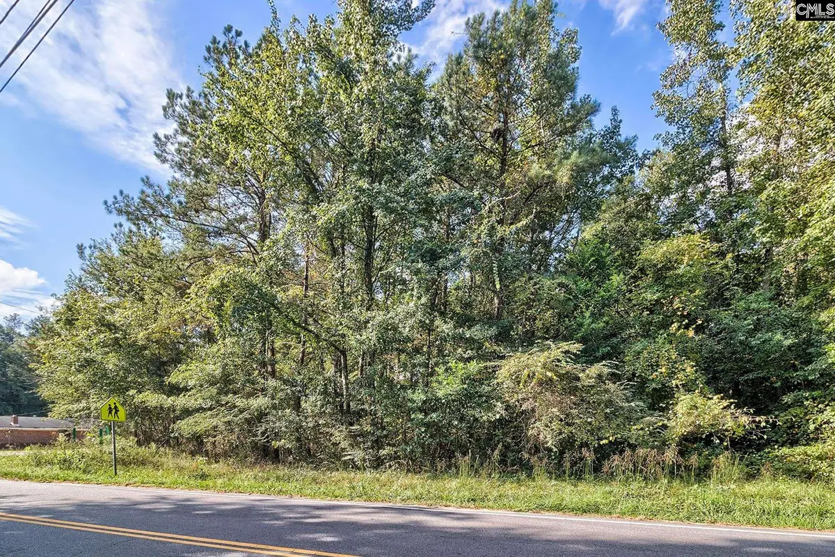 0 E/s Sumpter Road, Hopkins, SC 29061 - #1