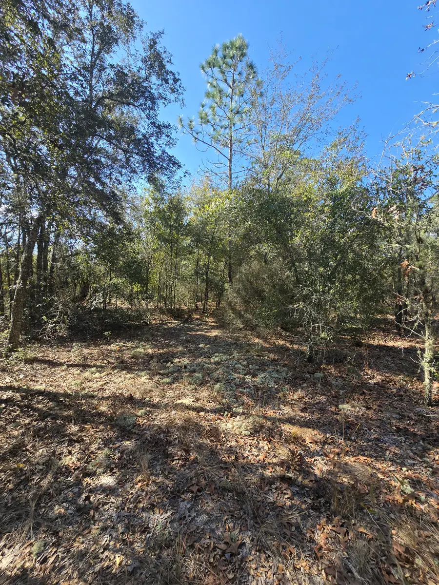 TBD NE 60th St, Bronson, FL 32621 - #3