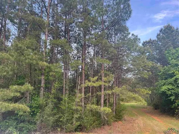 CR 477, Henderson, TX 75654