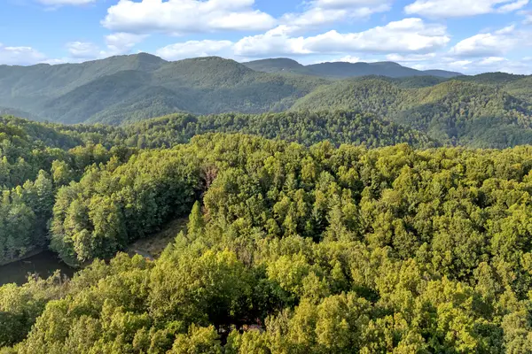 TBD Trout Lake Road, Deep Gap, NC 28618