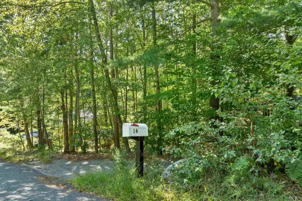 16 Forest Avenue, Gilford, NH 03249
