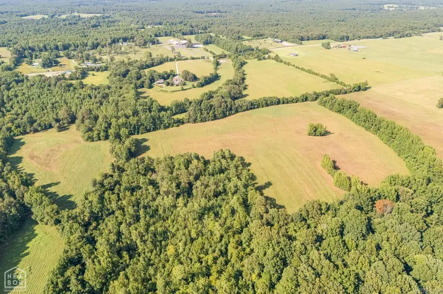 271 Greene 716 Road, Paragould, AR 72450 - Image #2