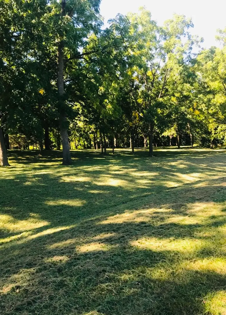 2618 N 3689th Road, Sheridan, IL 60551 - Image #3