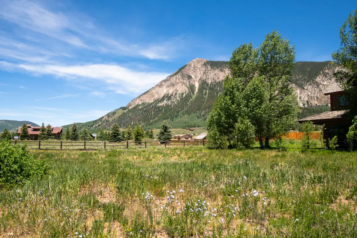 140 Alpine Court, Crested Butte, CO 81224 - #1