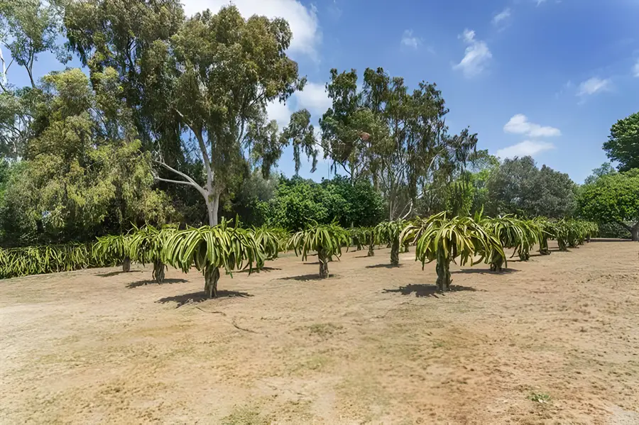 0 Via De Fortuna, Rancho Santa Fe, CA 92067 - #3