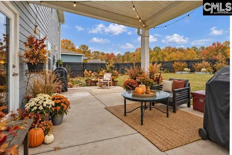 149 Monroe Preserve Drive, Chapin, SC 29036 - #3