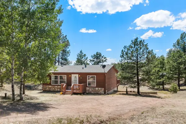 331 Rhyolite Lane, Florissant, CO 80816