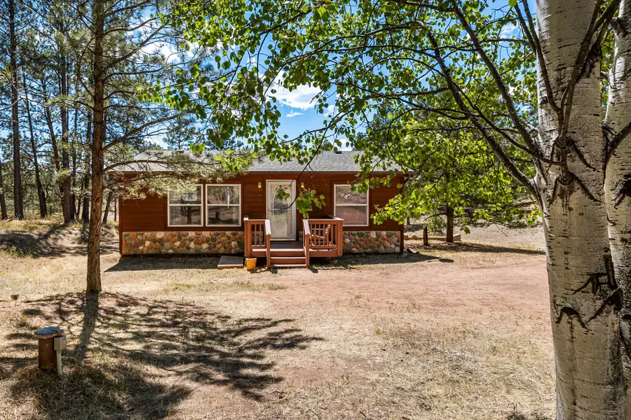 331 Rhyolite Lane, Florissant, CO 80816 - #2