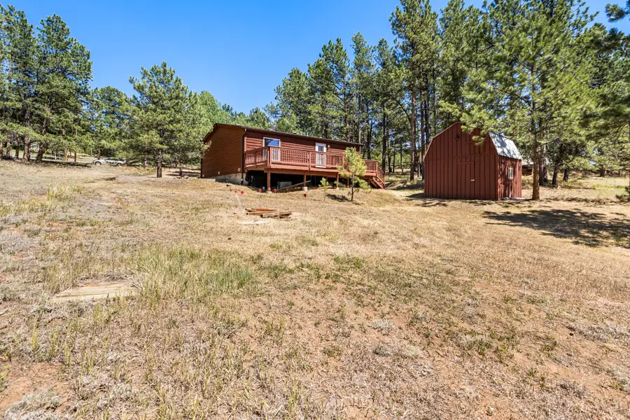 331 Rhyolite Lane, Florissant, CO 80816 - #3
