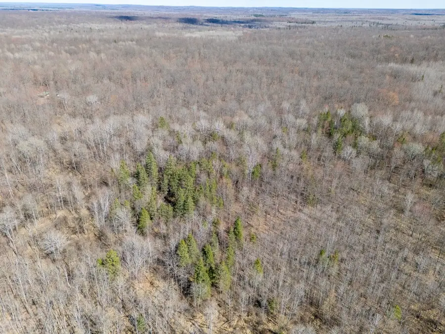 N5901 Camp Ave, Merrill, WI 54452 - #2