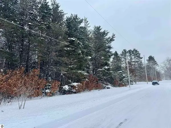 Parcel B Grahek, Cadillac, MI 49601