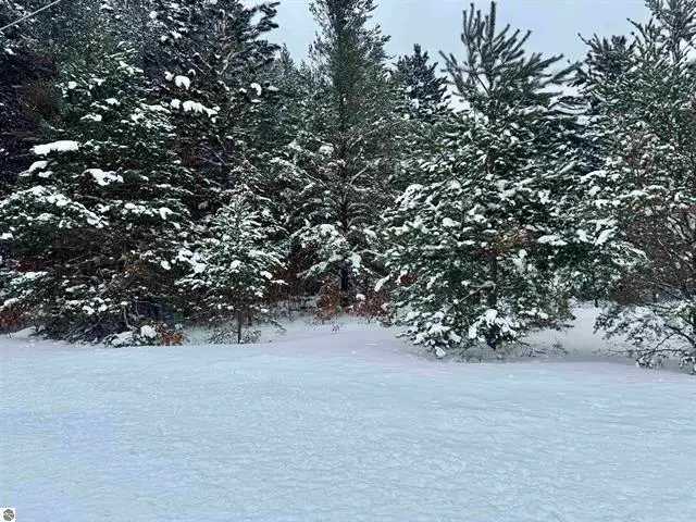 Parcel B Grahek, Cadillac, MI 49601 - Image #3