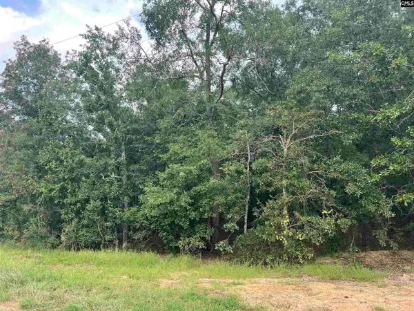 0 Cliff Road, Pelion, SC 29123