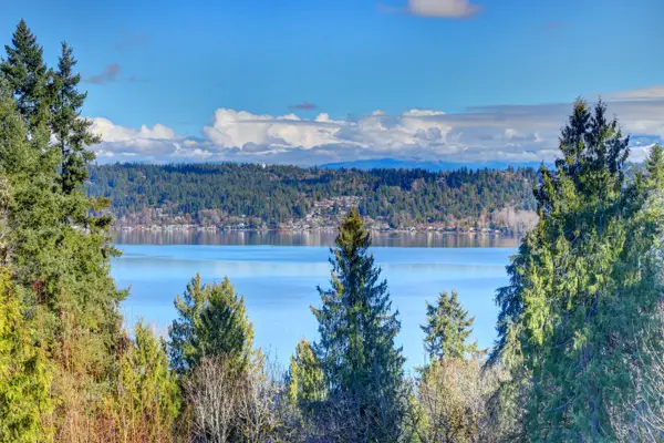 460 168th Avenue Se, Bellevue, WA 98008