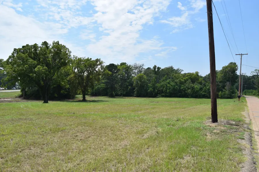 0 Old Shreveport Road, Minden, LA 71055 - #2
