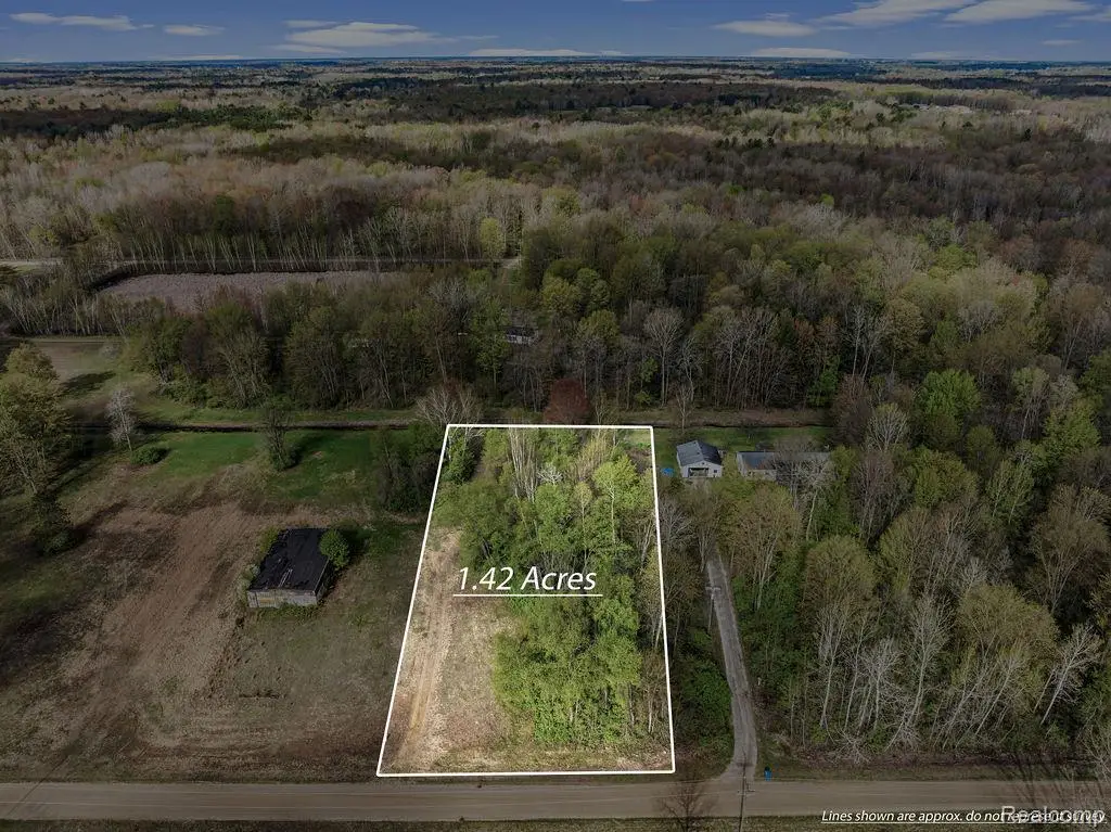 #0062 V/L Natures Nest Road, Vassar, MI 48768 - #1