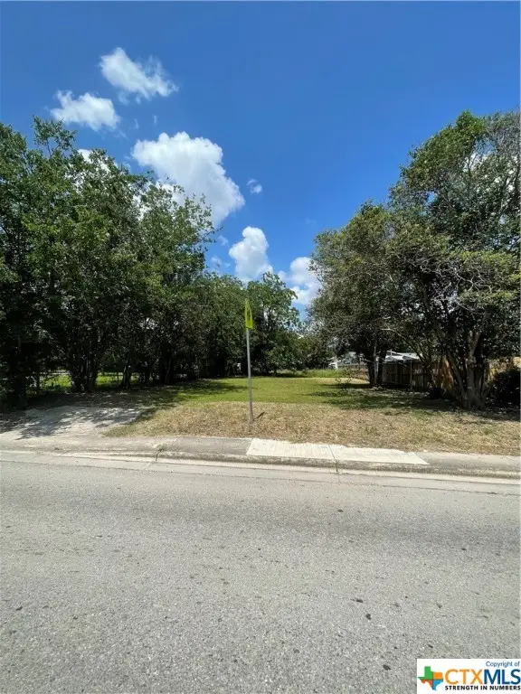 1006 N Guadalupe Street, Seguin, TX 78155 - #3