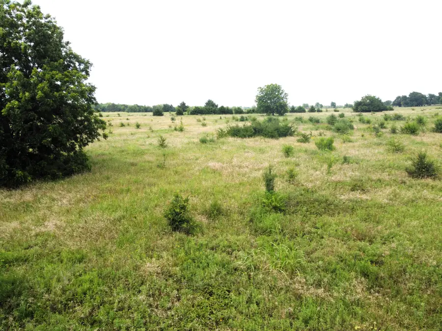Lot 6 Cr 1400, Ravenna, TX 75476 - Image #3