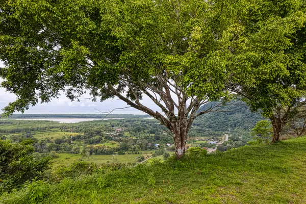 00 *87*, Reidsville, NC 27320