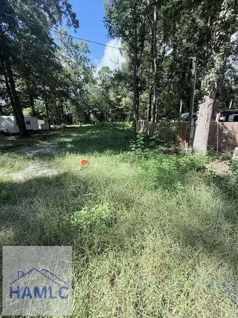 541 Dogwood Lane, Midway, GA 31320 - #3