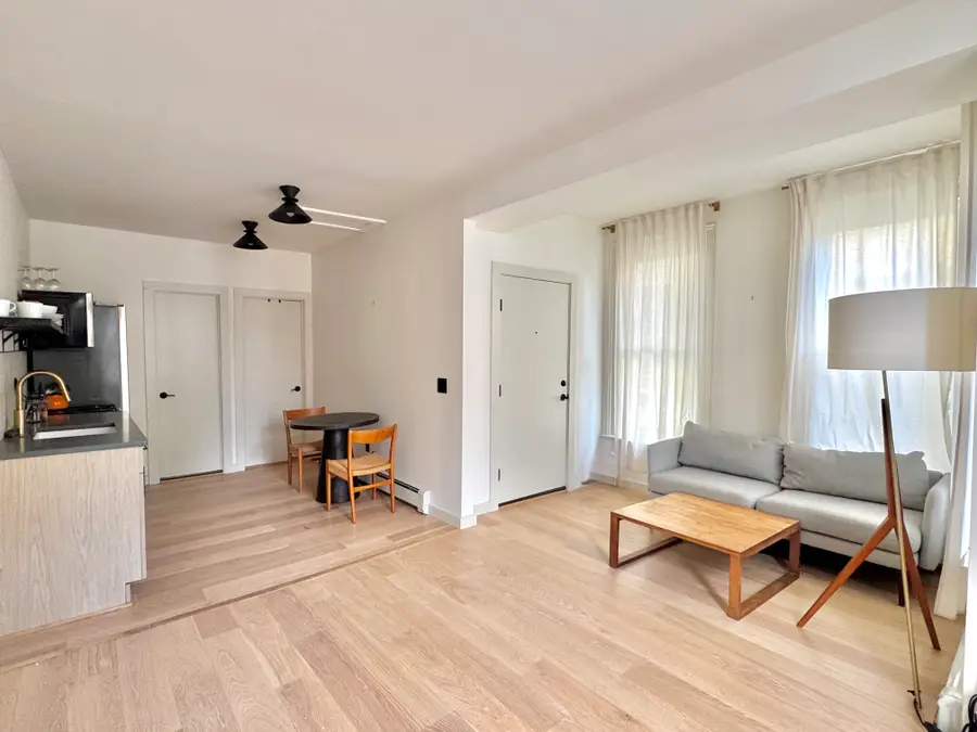 261 Main Street 1, Catskill, NY 12414 - #3