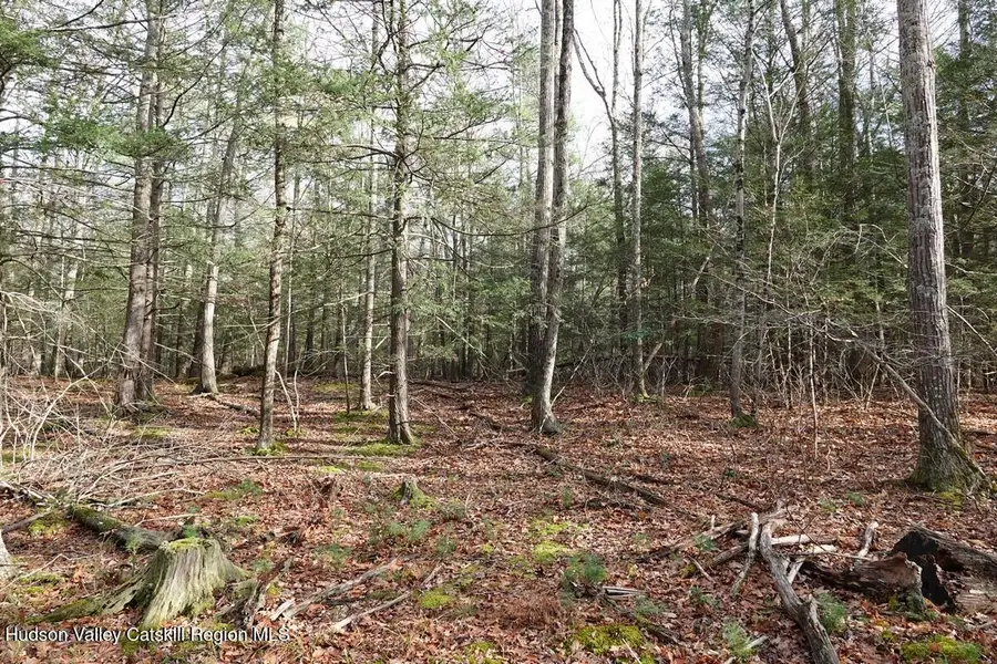 738 Manorville Road, Saugerties, NY 12477 - Image #2