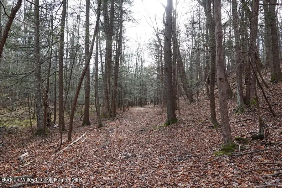 738 Manorville Road, Saugerties, NY 12477 - Image #3