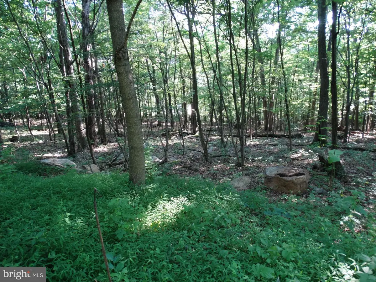 11430 National Pike, Clear Spring, MD 21722 - Image #1