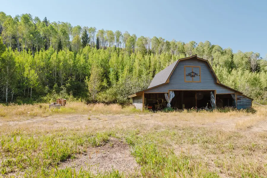 7650 Porcupine Creek Road, Jackson, WY 83001 - #3
