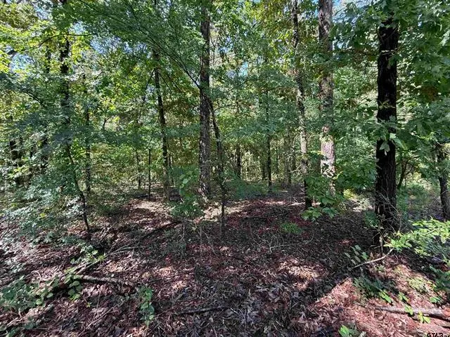 TBD CR 4194 Tr-3, Henderson, TX 75654 - Image #1