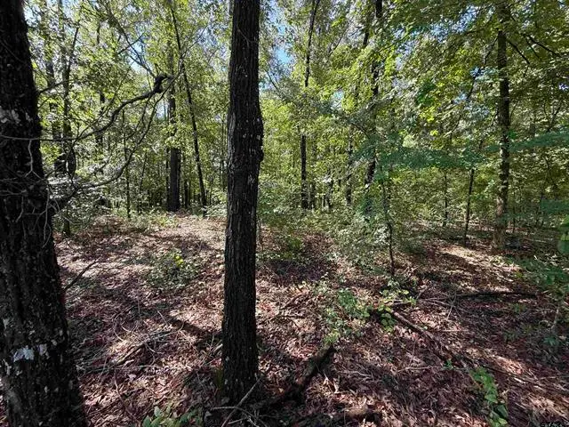 TBD CR 4194 Tr-3, Henderson, TX 75654 - Image #3