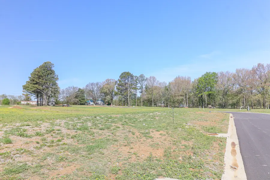 103 Horseshoe Creek Drive, Brookland, AR 72417 - #3
