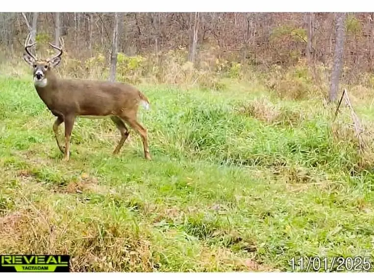 190.81 acres Deere Path Lane, Richland Center, WI 53581 - Image #2