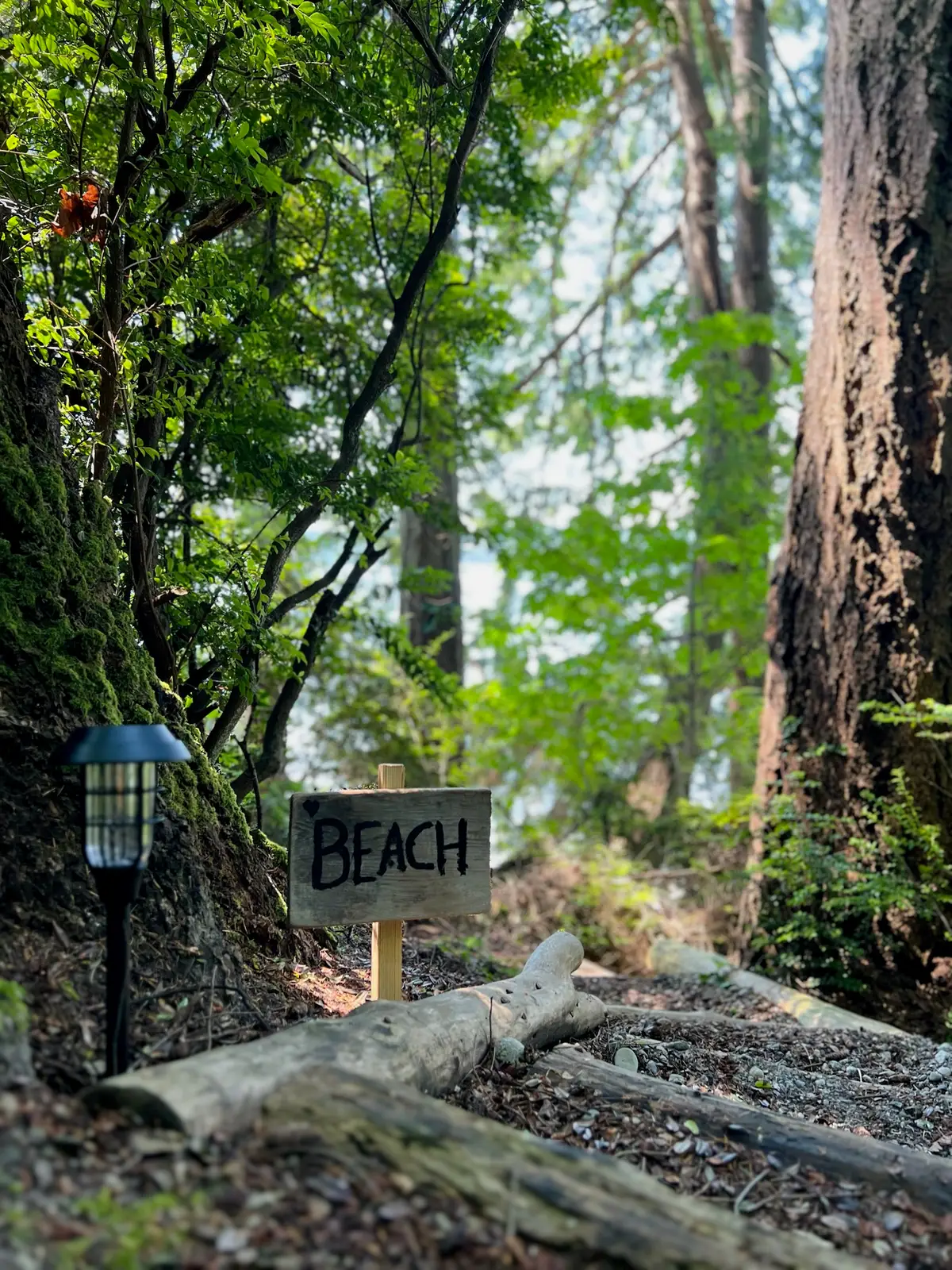 137 SW Madrona Road, Vashon, WA 98070 - Image #1