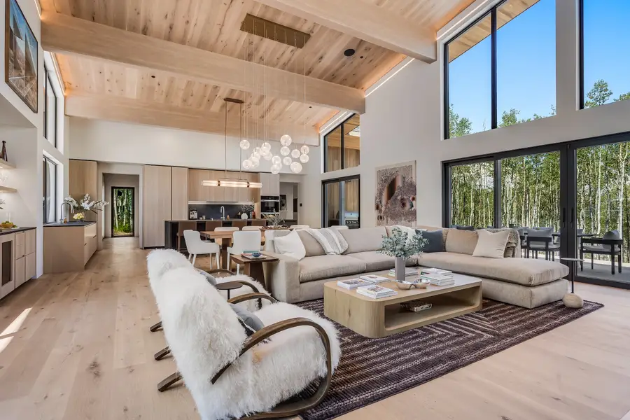 231 Maple Ridge Lane, Snowmass Village, CO 81615 - #3
